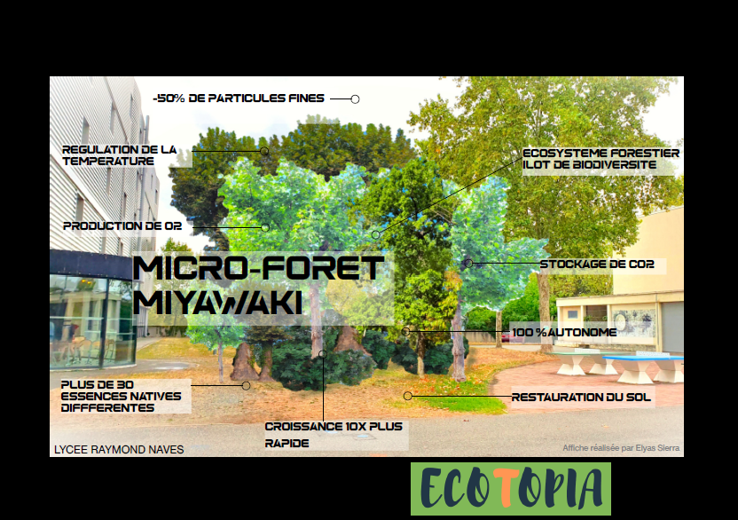 Micro-Foret Mediation-d8abce13